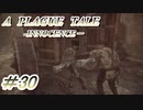 【プレイグテイル】ネズミ年なのでやってみます【part30】