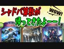 【シャドウバース実況#249】頭の運動をしながらシャドウバース！