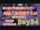 ほのぼのと無人島を改造していく！Day34【あつまれ！どうぶつの森】