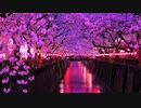 【オリジナル】幻桜散歩【和風ピアノ】