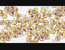 【狽音ウルシ】カラカラカラのカラ【UTAUカバー】