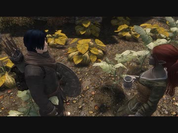 【刀剣乱舞偽実況】みっちゃんが写し身作って旅に出る・其の15【skyrim】