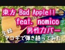 【東方・Bad Apple!! feat. nomico / Alstroemeria Records】弾き語りカバー＠江戸川／丸山詩乃