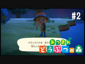 シリーズ初プレイ勢の「あつまれ どうぶつの森」#2【実況】