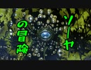 【Skyrim】ソーヤの冒険 竜の血脈編２【ゆっくり実況】