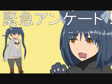 【ゆっくり実況】傘音こも 緊急アンケート&コメ返信【猫と猫たちのシリーズ】