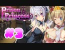 【実況】童貞がやるプリズンプリンセス  #3【Steam版】