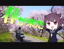 【VOICEROID車載】レブルで行く愛媛お花見ツーリング ～旧大保木小学校～
