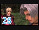 【実況】ゼノブレ世界を堪能しながらクリアを目指すpart28【xenoblade】