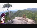 【790Duke】2019年まとめ動画