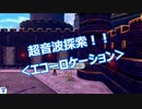 【2視点実況】ポケットモンスターソードPart16