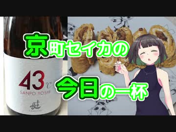 京町セイカの今日の一杯 ＜43℃＞