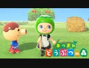 カッパメイドのお花摘み【あつまれどうぶつの森】　#20