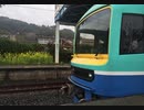 【走行音】快速リゾートあわトレイン　安房鴨川→君津【485系ニューなのはな】
