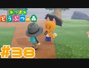 【実況】見た目から溢れるうさん臭さすごい #38【あつまれどうぶつの森】