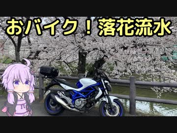 おバイク！落花流水【GLADIUS】