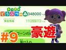 【あつ森】お金が欲しいから禁忌を犯しました  9日目