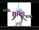 その男、BRSにつき～コロナ収束まで毎日投稿【ポケモン剣盾】15日目