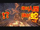 【Bloodborne】｜高難易度ブラッドボーン｜体は人間、頭が蛇｜【初見実況】part35