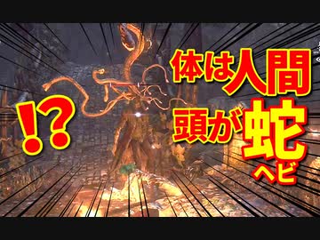 Bloodborne 高難易度ブラッドボーン 体は人間 頭が蛇 初見実況 Part35 ニコニコ動画
