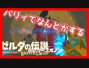 【実況】バクダンで大体のことは解決する大冒険 part13【ゼルダの伝説ブレスオブザワイルド】