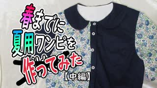 【とりあえず】春までに夏用ワンピを作りたい！・中編【人間用のみ】