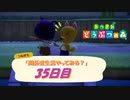 【N.Sw】" あつまれ どうぶつの森 " 開拓者生活やってみる？　35日目　【生放送】