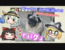 【ゆっくり犬種解説】その10「パグ」
