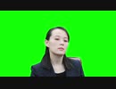 金与正GB.SNSD