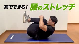 【1分ストレッチ】自宅やオフィスでできる！腰のストレッチ【ビーレジェンド プロテイン】