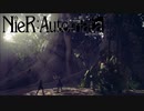 せめて埋葬位はしてあげたほうが良いと思う　#12【NieRAoutomata】