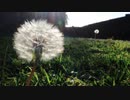 【オリジナル曲】春と夏の軽い音楽、ストレス解消、癒し、安眠、作業用BGM | Spring and Summer Music for Stress Relief, Healing, Sleep