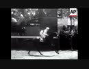 1947年 第168回ダービーステークス(Derby Stakes) パールダイヴァー(Pearl Diver)