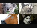 イケボ声優目指して、周囲の動物を罠にはめる修行（最終トラップ）【ULTIMATE CHICKEN HORSE 2人実況】