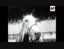 1946年 第167回ダービーステークス(Derby Stakes) エアボーン(Airborne)