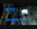 【スカイリムLE実況Part3】うげぇ。気持ち悪い蜘蛛。