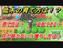 あつまれどうぶつの森　低木花が咲かない？低木の育て方について！　【あつ森】