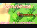 【あつ森】前人未島へようこそ！#39【あつまれどうぶつの森】