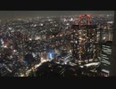 都庁でタイムラプス夜景撮りました