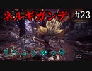 【実況】独りで狩りつくすMHWI [part23]