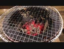 【定点カメラ】炭火焼肉の火を見つめ続けるだけの動画