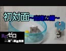 レムと出逢ったハムスターの末路は・・・ The end of the hamster who met Rem・・・ #36【Re：ゼロから始める同棲生活 】