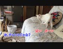 いちごうとにごう　その３