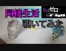 レムとハムスターのコミュニケション Communication between Rem and Hamster #37【Re;ゼロから始める同棲生活 】