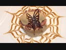 ダルゴナコーヒー　フレンチシェフが華麗にアレンジダルゴナデザートに　dalgonacoffee Special Dessert 다르 고나 커피 스페셜 디저트