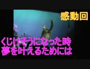 【感動】くじけそうになった時 夢を叶えるには？【タートルトーク】東京ディズニーシー
