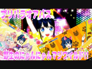 プリパラオアパス～野生のにゃんにゃんマジワイルド!!～
