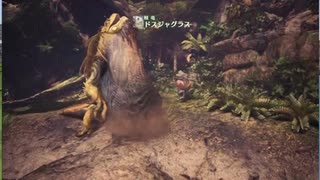 【ＭＨＷ：ＩPC版】今更ゆるっとハンターライフその２後編【実況プレイ】.mp4