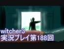 探し人を求めてwitcher3実況プレイ第188回