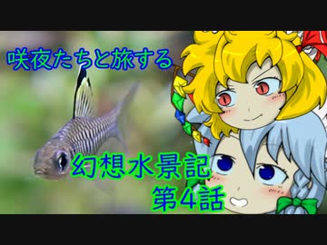 咲夜たちと旅する幻想水景記 第２部　4話～メイン生体導入～